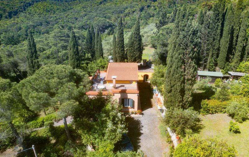 villa-galina-einfahrt