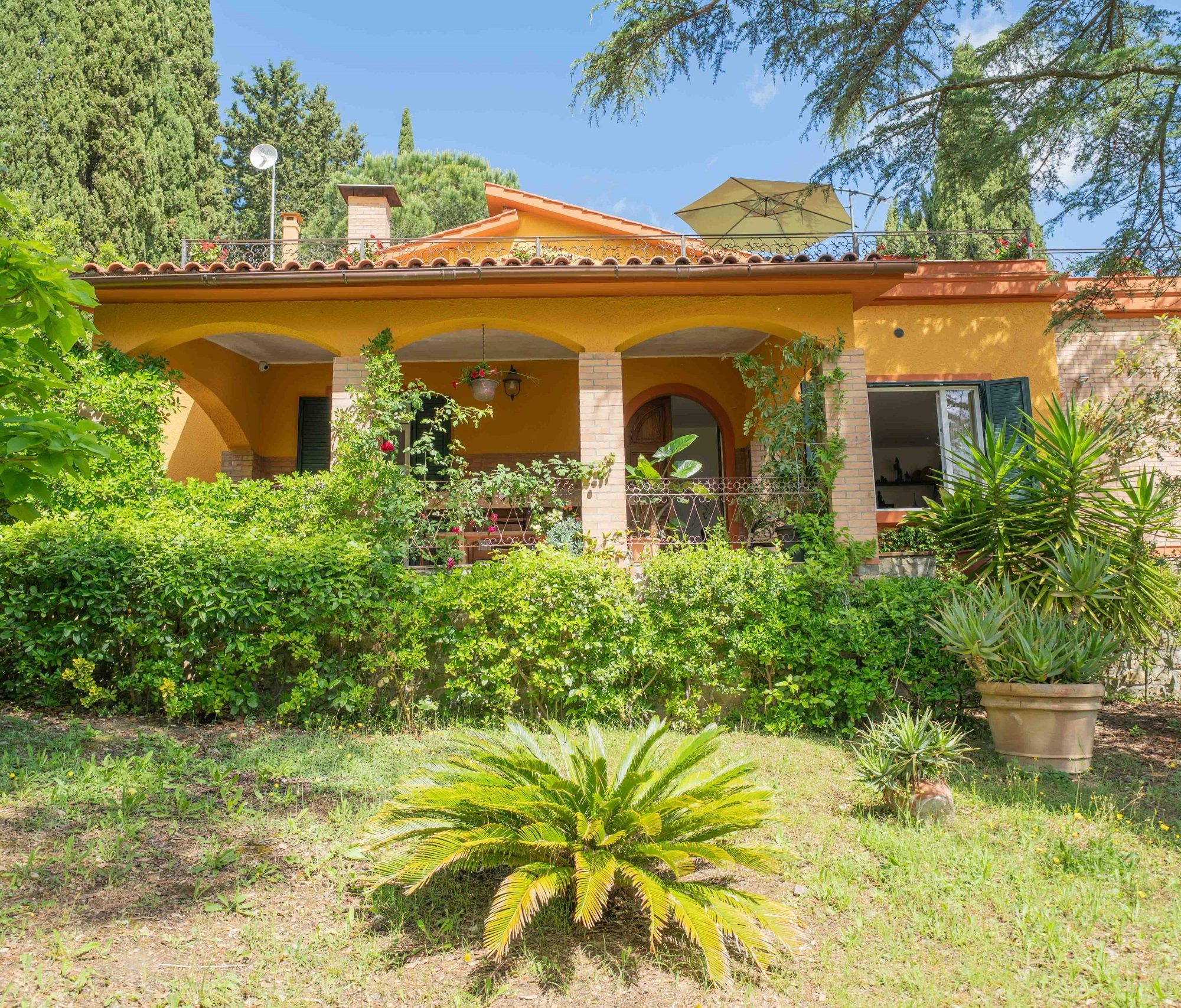 WhatsApp Image 2025-09-01 at 21.35.12